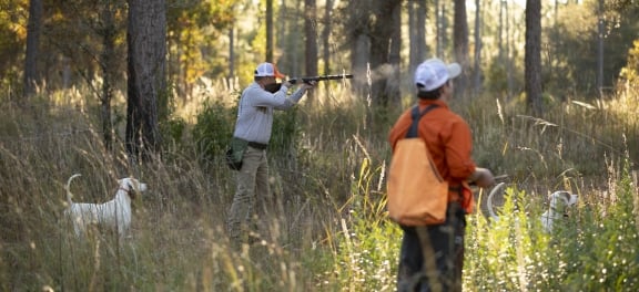 A man shoots a hunting rifle in tall grass while two hunting dogs and another hunter watch.