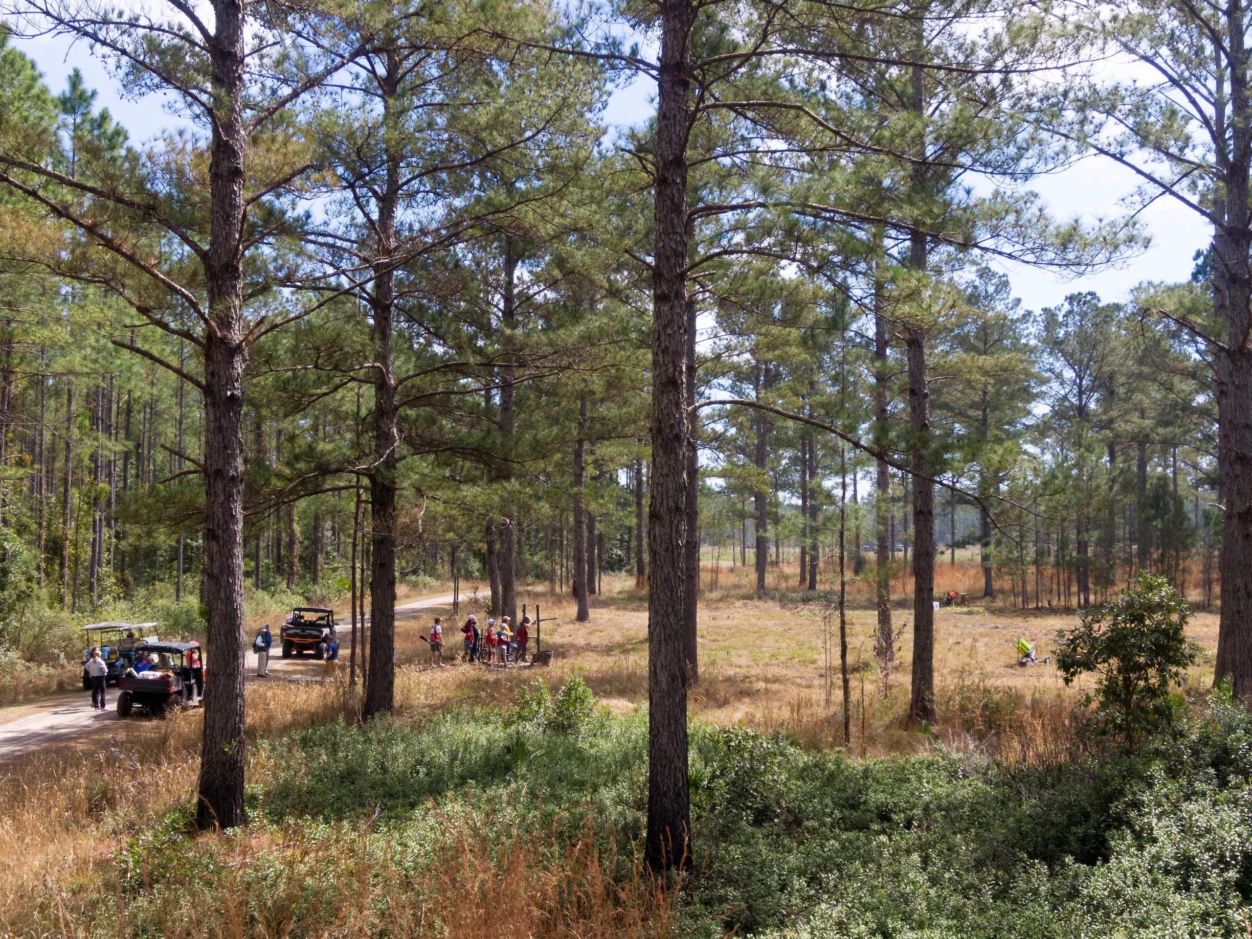 A shot from a distance of group of competitors watch a person shoot a long gun. They are in a sparsely wooded area on a sunny day.