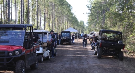 Golf carts line a dirt road with tall trees on either side.